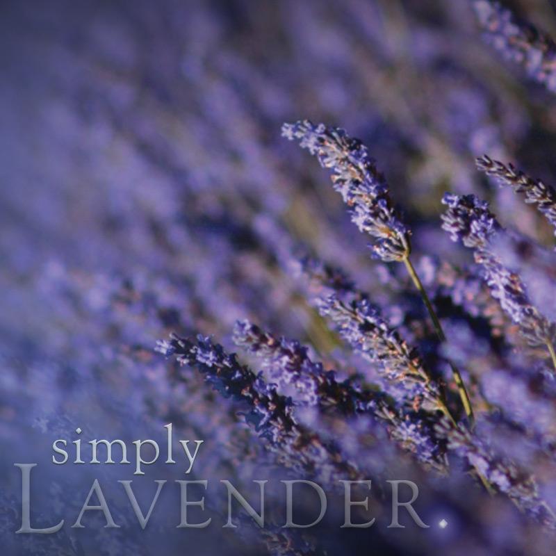 Lavender Pillar Candle
