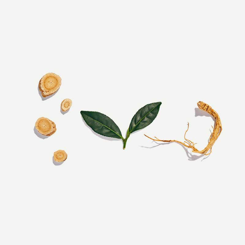 Vitality Pyramid Tea Bags