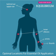 Equilibrium Pulse Point Roller